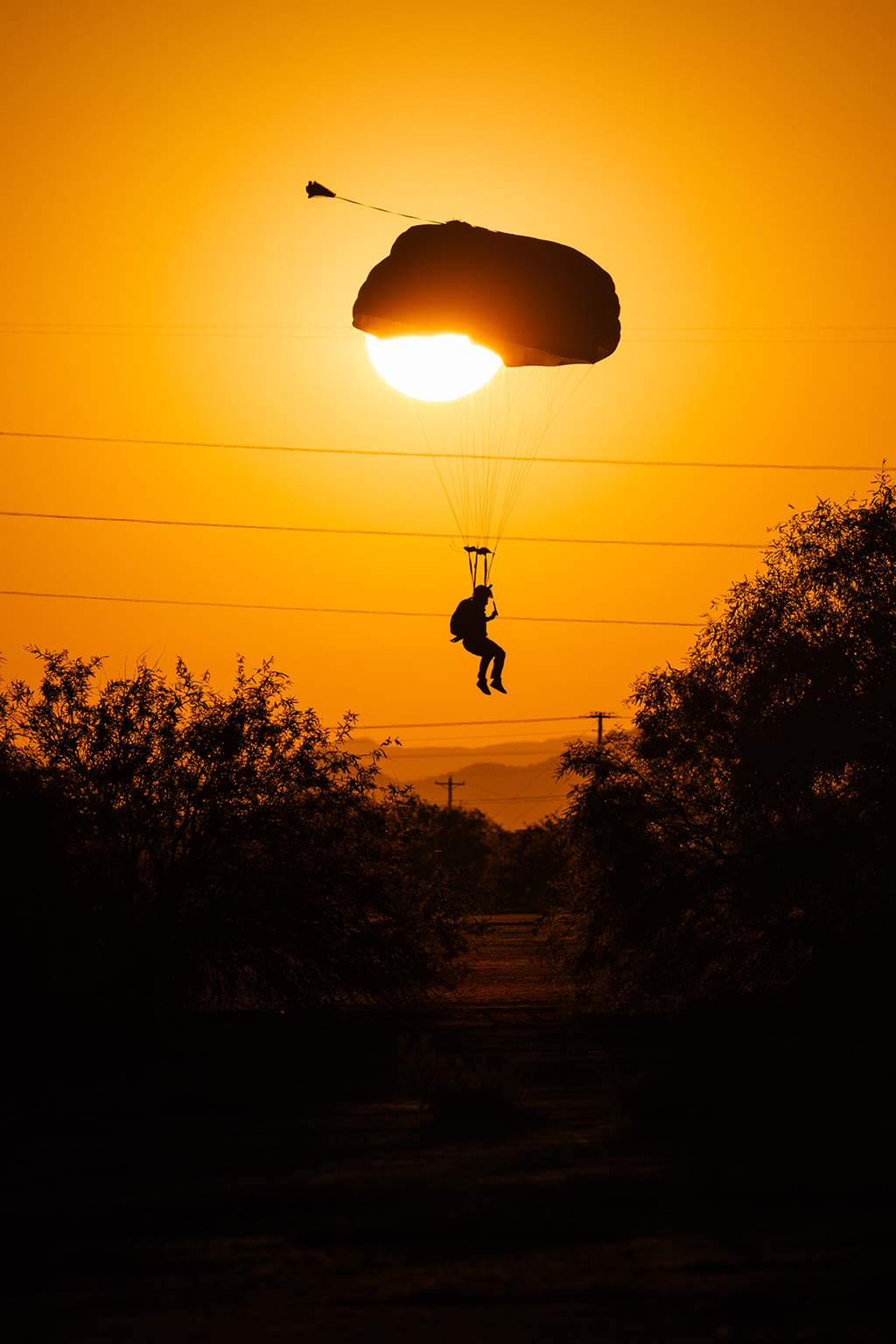 A darker silhouette of a lone Royal Air Force Parachuting Test Team member descending under a parachute, perfectly framed against a large, glowing orange sun at sunset, with dark trees and power lines in the foreground.